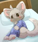  balls bed blush butt clothed clothing cub hindpaw looking_at_viewer lying male mammal minccino nintendo pajamas pants_down partially_clothed partially_unclothed paws pillow pok&eacute;mon pok&eacute;mon_(species) presenting rodent solo video_games yojoo young 