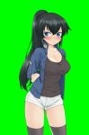 arms_behind_back bad_id bad_twitter_id black_hair blue_eyes bound bound_arms breasts cleavage green_background jacket large_breasts looking_at_viewer shirt shorts t-shirt thighhighs zee_(zee_sub) 