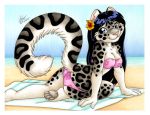  2015 beach bikini black_fur black_hair blue_eyes clothing feline female fur grey_fur hair leopard mammal michele_light pawpads sand sea seaside sky snow_leopard swimsuit towel water white_fur 