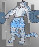  2018 abs anthro biceps big_muscles black_nose claws clothing digital_media_(artwork) exercise feline fur hair hi_res male mammal muscular muscular_male nightterror nipples pecs shorts simple_background solo tiger toe_claws 