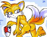  sonic_team tagme tails zr 