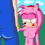  amy_rose sonic_team sonic_the_hedgehog tagme 