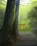  dappled_sunlight forest green light_rays naohiro nature no_humans original outdoors scenery stairs sunlight torii tree 