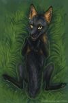  black_fur black_nose canine cross_fox fox fur lying mammal nirnu on_back orange_fur smile solo tail_covering_genitalia teeth 
