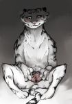  2018 anthro anus biting_lip blush cheek_tuft clitoris disney fan_character feline female flat_chested gaping gaping_pussy half-closed_eyes mammal nobby_(artist) nude partially_colored presenting presenting_pussy pussy sitting solo spread_pussy spreading striped_tail stripes sydney_(nobby) tiger tuft zootopia 