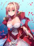  aburai_yui ahoge blonde_hair braid breasts cleavage closed_mouth commentary_request dress epaulettes eyebrows_visible_through_hair fate/extra fate_(series) french_braid green_eyes hair_bun hair_intakes hand_on_hip highres large_breasts long_hair long_sleeves looking_at_viewer nero_claudius_(fate) nero_claudius_(fate)_(all) petals red_dress solo 
