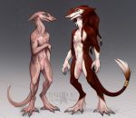  animal_genitalia balls blue_eyes braided_hair chest_tuft claws duo fur hair hairless male nervous nude nul_the_hairless red_fur rotarr sergal sheath standing toe_claws tuft 