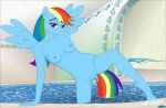  anthro breasts fab3716 female friendship_is_magic my_little_pony nude pool_(disambiguation) pussy rainbow_dash_(mlp) solo 