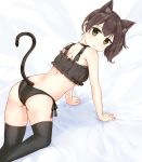  1girl animal_ears artist_request ass bangs black_panties blush brown_eyes brown_hair buttcrack cat_ears frilled_top from_behind highres kaga_(kantai_collection) kantai_collection lingerie looking_at_viewer on_all_fours panties ponytail side_ponytail stockings tail thighhighs 