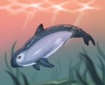 ambiguous_gender bedroom_eyes cetacean detailed_background feral glistening glistening_body grey_body hoot_(artist) light light_beam mammal marine narrowed_eyes seaweed seductive smile smirk solo sunbeam sunlight underwater vaquita water yellow_eyes