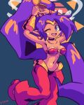 4:5 blue_eyes breasts brown_body brown_skin clothing ear_piercing female footwear genie hair humanoid humanoid_pointy_ears itzah long_hair looking_at_viewer navel not_furry one_eye_closed open_mouth open_smile piercing ponytail purple_hair shantae shantae_(series) shoes signature smile solo wayforward wink