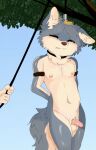 2024 absurd_res ambiguous_gender anthro arms_tied bound canid canine canis clenched_teeth duo eyes_closed genitals hands_behind_back hanged hanging_from_branch hi_res hunter_(mikolai) imminent_death lolcat00 looking_at_viewer male mammal navel neck_tuft nipples noose nude nude_anthro nude_male penis plant sky snuff solo_focus tail teeth tree tuft wolf