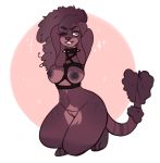  2018 anthro big_breasts breasts brown_fur brown_hair canine clothing collar digital_media_(artwork) dog drsenpaii female fur green_eyes hair invalid_tag lingerie lucie_choquette mammal nipples one_eye_closed poodle pussy simple_background smile solo wink 