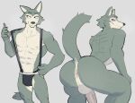 abs anthro anus areola athletic athletic_anthro athletic_male beastars big_butt big_penis black_nose blush butt canid canine canis cheek_tuft clothed clothing cute_expression ears_up erection eye_bags facial_tuft fur genitals grey_body grey_fur hi_res inviting jockstrap jockstrap_only jrjresq legoshi_(beastars) looking_at_viewer looking_back looking_back_at_viewer male mammal nipples nude pecs penis pink_blush seductive small_waist solo spread_anus spread_butt spreading straps thick_penis topless tuft underwear underwear_only white_body white_fur wolf