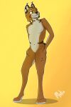 absurd_res anthro brown_body brown_fur collar felid feline fur hi_res larger_male lynx male mammal mokalynx nub_tail orange_body orange_fur pinup pose simple_background size_difference solo spots standing stripes yellow_eyes