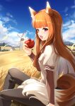  1girl absurdres animal_ear_fluff animal_ears apple black_pants blue_sky brown_hair cloud commentary_request day food fruit highres holding holding_food holding_fruit holo long_hair looking_at_viewer open_mouth outdoors pants red_eyes shirt sitting sky solo spice_and_wolf sunny_(20597521) tail teeth upper_teeth_only wheat_field white_shirt wolf_ears wolf_girl wolf_tail 
