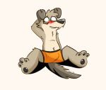 anthro blush blush_lines boxers_(clothing) brown_body brown_eyes brown_fur bulge canid canine clothing floppy_ears fur hand_behind_head male mammal narrowed_eyes nervous_smile pawpads paws sitting smile solo tinnier underwear
