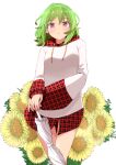  1girl alternate_costume blush closed_umbrella commentary_request drawstring flower green_hair hair_between_eyes highres hood hood_down hoodie kazami_yuuka long_sleeves looking_at_viewer medium_hair mizune_(winter) no_pants parasol parted_lips plaid plaid_hood plaid_trim red_eyes sleeves_past_wrists solo straight-on sunflower touhou umbrella 