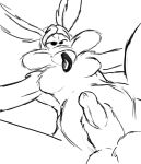 abdominal_bulge anthro balls bedroom_eyes belly biped black_and_white black_eyes black_nose canid canine canis coyote digital_drawing_(artwork) digital_media_(artwork) erection feet first_person_view genitals half-closed_eyes line_art looking_at_viewer looking_pleasured looney_tunes low-angle_view lying male mammal monochrome narrowed_eyes nude on_back pecs penis pinup pose seductive smile smiling_at_viewer smug smug_face solo stevethedragon warner_brothers wile_e._coyote