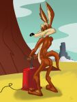  3:4 3_toes 4_fingers abstract_background anthro back_muscles barefoot bedroom_eyes belly biped black_nose brown_body brown_eyes brown_fur butt canid canine canis coyote desert digital_drawing_(artwork) digital_media_(artwork) digital_painting_(artwork) dynamite explosives eyebrows feet fingers fur glance glancing_back glistening glistening_back glistening_body glistening_muscles glossy_body grin grinning_at_viewer looking_at_viewer looney_tunes male mammal narrowed_eyes nude outside pecs pinup plantigrade pose raised_tail rear_view seductive shaded smile smiling_at_viewer smug smug_grin soles solo spine standing stevethedragon tail tan_belly tan_body tan_eyebrows tan_fur toes vein warner_brothers wile_e._coyote yellow_sclera 