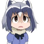  1girl animal_ears aono3 bangs black_bow black_eyes black_hair bow bowtie chibi common_raccoon_(kemono_friends) d: eyebrows_visible_through_hair grey_hair hair_between_eyes highres kemono_friends looking_up medium_hair multicolored_hair open_mouth puffy_short_sleeves puffy_sleeves raccoon_ears shaded_face short_sleeves solo striped_tail sweater tail upper_body white_hair worried 