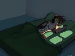  anthro bed bedroom brown_hair canid canine clothing convenient_censorship footwear fox fur fur_markings furniture glowing glowing_eyes green_background green_eyes hair hi_res legwear light_through_window male mammal markings morning navirus_(syrup-taifh) nude orange_body orange_fur pattern_clothing pattern_legwear pattern_socks prosthetic_ear setriaphtfj simple_background socks solo waking_up window_light 