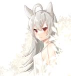  ahoge animal_ears bangs bare_shoulders blush breasts closed_mouth dog_ears dress eyebrows_visible_through_hair fang fang_out from_side highres ia_(ias1010) long_hair looking_at_viewer looking_to_the_side original partially_colored red_eyes shiny shiny_hair silver_hair simple_background sleeveless sleeveless_dress small_breasts smile solo straight_hair sundress tsurime upper_body white_background white_dress 