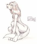  2003 anthro breasts brown_hair canine crouching female hair hazard mammal nude simple_background solo tail_between_legs transformation white_background wolf 
