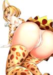  animal_ears ass horoyoi_(artist) kemono_friends pantsu serval skirt_lift tagme tail thighhighs 