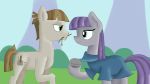  cutie_mark earth_pony equine feral friendship_is_magic hair horse jbond mammal maud_pie_(mlp) mudbriar_(mlp) my_little_pony outside pony 