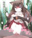  2017 akatsuki_no_guuru anthro black_nose breasts brown_hair canine clothed clothing duo eyes_closed female female_focus fur grey_fur hair human human_on_anthro imaizumi_kagerou interspecies japanese_text looking_at_viewer male male/female mammal navel nipples partially_clothed penetration penis pussy sex solo_focus text touhou translation_request vaginal vaginal_penetration white_fur wolf 
