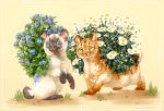  2015 ambiguous_gender blue_eyes canine duo feral flower fur heyriel mammal paws plant simple_background tan_fur white_fur 