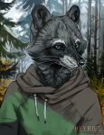  anthro black_nose clothed clothing day forest green_eyes heyriel hoodie looking_at_viewer male mammal outside procyonid raccoon smile solo tree whiskers 