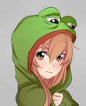  aisaka_taiga animal_costume bangs blush boy's_club brown_eyes brown_hair closed_mouth commentary commentary_typo english_commentary frog_costume green_hoodie grey_background hair_between_eyes highres hood hood_up hoodie long_hair long_sleeves looking_at_viewer meme orekifag pepe_the_frog simple_background sleeves_past_wrists solo tears toradora! 