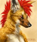  anthro black_nose canine coyote feral fur hair heyriel inner_ear_fluff male mammal red_eyes red_hair simple_background solo yellow_fur 