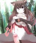  2017 akatsuki_no_guuru anthro anus black_nose breasts brown_eyes brown_hair canine clothed clothing disembodied_penis duo female female_focus fur grey_fur hair human human_on_anthro imaizumi_kagerou interspecies japanese_text looking_at_viewer male male/female mammal navel nipples partially_clothed penis pussy solo_focus text touhou translation_request white_fur wolf 
