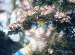  ambiguous_gender anthro blue_eyes blurred_background cat day feline fur heyriel looking_at_viewer mammal outside pink_nose solo whiskers white_fur 