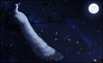  2012 avian bird digital_media_(artwork) feral moon night outside peafowl sinistereternity sky solo star starry_sky treebranch 