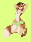  anthro bulge clothed clothing crobat_(artist) erection hands_behind_head humanoid_penis kneeling looking_at_viewer male mammal penis red_panda solo tight_clothing topless 