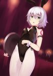  animal_ears bangs bare_shoulders black_leotard breasts bunny_ears bunnysuit commentary_request eyebrows_visible_through_hair fake_animal_ears fate/apocrypha fate/grand_order fate_(series) green_eyes hair_between_eyes highleg highleg_leotard highres jack_the_ripper_(fate/apocrypha) leotard pantyhose ruriga shiny shiny_clothes short_hair silver_hair small_breasts solo standing strapless strapless_leotard tattoo thigh_gap white_legwear wrist_cuffs 