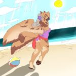  avian ball beach beach_ball bird clothing dragocorn female gryphon looking_back one-piece_swimsuit owl sarong seaside smile solo sona_(noxiis) sunhat swimsuit wings 