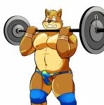  anthro blush briefs canine clothing dog erection exercise kenta_shiba_(character) male mammal navel nipples open_mouth pubes shiba-kenta shiba_inu simple_background teeth underwear weightlifting white_background workout 