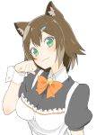  :3 absurdres animal_ears apron bell bow bowtie brown_hair cat_ears collared_shirt donguri_suzume fumino_tamaki green_eyes hair_ornament hairclip head_tilt highres jingle_bell maid nijisanji orange_neckwear paw_pose puffy_short_sleeves puffy_sleeves shirt short_hair short_sleeves simple_background solo upper_body white_background wing_collar wrist_cuffs 