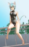  animal_ears barefoot black_swimsuit blue_eyes blue_hair cat_ears competition_swimsuit covered_navel day dutch_angle full_body halcyon_(halcyon90) highleg highleg_swimsuit looking_at_viewer one-piece_swimsuit outdoors railing short_hair sinon sinon_(sao-alo) sitting solo swimsuit sword_art_online tail turtleneck twitter_username 
