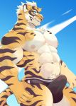  balls big_pecs bulge chest_tuft clothing erection feline kumak71395 lin_hu male mammal muscular nekojishi nipples pecs sky smile smirk solo speedo swimsuit thick_thighs tiger tuft 