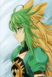  absurdres ahoge animal_ears arm_belt artist_request atalanta_(fate) bangs braid closed_mouth eyebrows_visible_through_hair eyelashes fate/apocrypha fate_(series) french_braid green_eyes green_hair highres long_hair multicolored_hair non-web_source profile puffy_short_sleeves puffy_sleeves scan serious short_sleeves signature solo two-tone_hair upper_body 