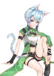  1girl animal_ears asada_shino cat_ears sinon_(alo) solo sword_art_online tail 