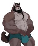  2018 5_fingers abs anthro beard biceps black_hair bulge canine clothing facial_hair hair looking_at_viewer male mammal muscular muscular_male nipples pecs scar simple_background smile solo teeth underwear vein vetrowolf white_background wolf 