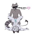  anal corporalcathead_(artist) domination eyewear feline knot male male/male mammal navel nipples pain penis procyonid raccoon reiora_(character) smile smirk sunglasses tears tervos_(artist) tervos_(character) text tiger white_tiger wince 
