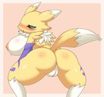  anus ass big_breasts big_butt blush breasts butt canine digimon driver000 female fox furry huge_breasts looking_at_viewer looking_back mammal nipples nude plain_background plump plump_labia presenting presenting_hindquarters pussy renamon yellow_body 